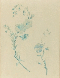 1880_Drawings_Orsay_4.gif